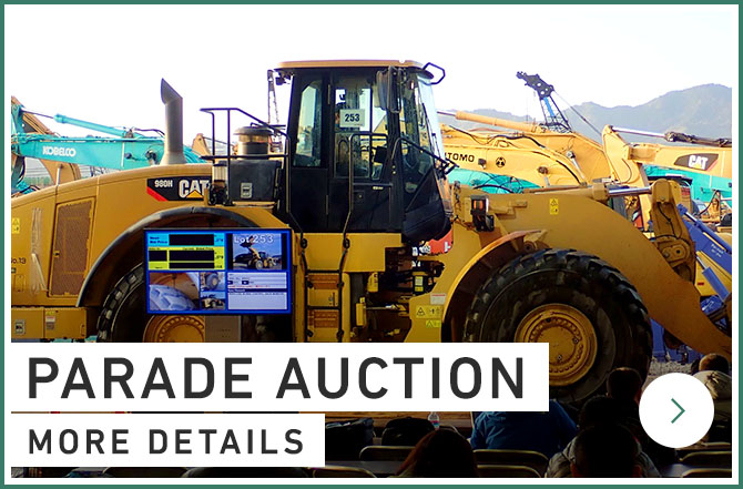 TENDER AUCTION photo & Details